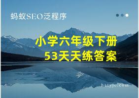 小学六年级下册53天天练答案