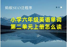 小学六年级英语单词第二单元上册怎么读