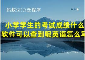 小学学生的考试成绩什么软件可以查到呢英语怎么写