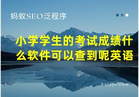 小学学生的考试成绩什么软件可以查到呢英语