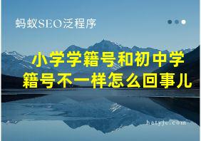 小学学籍号和初中学籍号不一样怎么回事儿