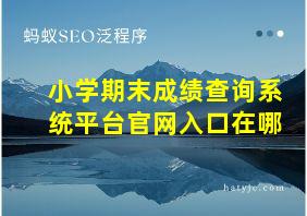 小学期末成绩查询系统平台官网入口在哪