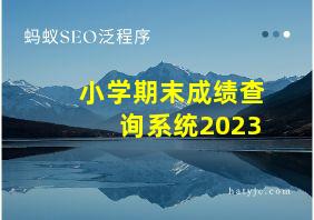 小学期末成绩查询系统2023