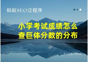 小学考试成绩怎么查巨体分数的分布