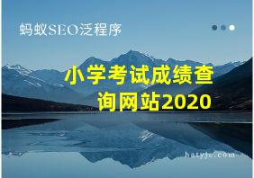 小学考试成绩查询网站2020