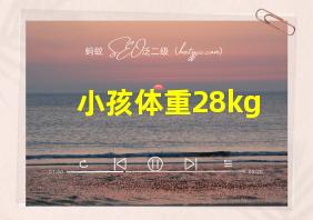 小孩体重28kg