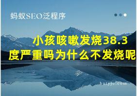 小孩咳嗽发烧38.3度严重吗为什么不发烧呢