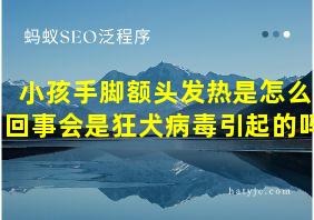 小孩手脚额头发热是怎么回事会是狂犬病毒引起的吗