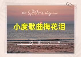 小度歌曲梅花泪