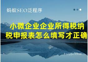 小微企业企业所得税纳税申报表怎么填写才正确