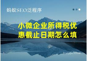 小微企业所得税优惠截止日期怎么填