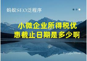 小微企业所得税优惠截止日期是多少啊