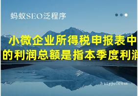 小微企业所得税申报表中的利润总额是指本季度利润