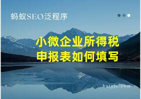 小微企业所得税申报表如何填写