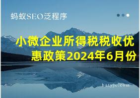 小微企业所得税税收优惠政策2024年6月份