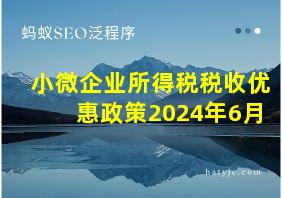 小微企业所得税税收优惠政策2024年6月