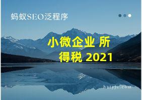 小微企业 所得税 2021