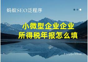 小微型企业企业所得税年报怎么填