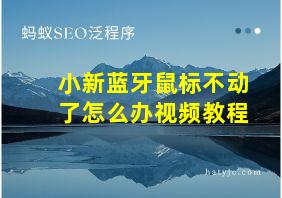 小新蓝牙鼠标不动了怎么办视频教程