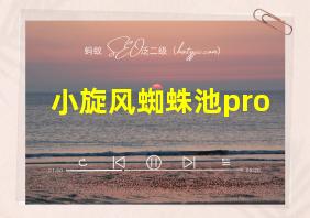 小旋风蜘蛛池pro