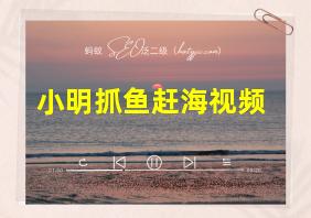 小明抓鱼赶海视频