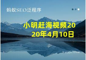 小明赶海视频2020年4月10日