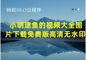 小明逮鱼的视频大全图片下载免费版高清无水印