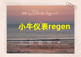 小牛仪表regen