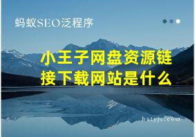 小王子网盘资源链接下载网站是什么