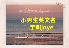 小男生英文名字叫joye