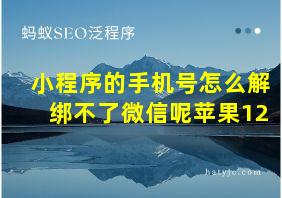 小程序的手机号怎么解绑不了微信呢苹果12