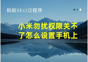 小米勿扰权限关不了怎么设置手机上