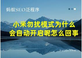 小米勿扰模式为什么会自动开启呢怎么回事