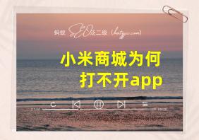 小米商城为何打不开app