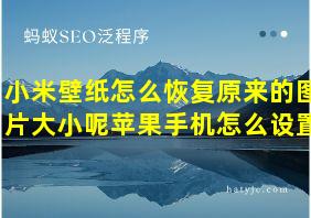 小米壁纸怎么恢复原来的图片大小呢苹果手机怎么设置