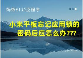 小米平板忘记应用锁的密码后应怎么办???