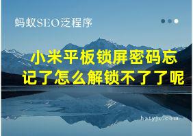 小米平板锁屏密码忘记了怎么解锁不了了呢