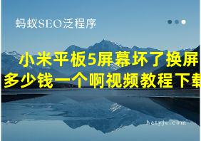 小米平板5屏幕坏了换屏多少钱一个啊视频教程下载