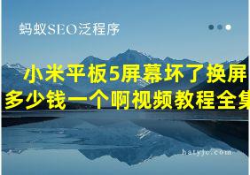 小米平板5屏幕坏了换屏多少钱一个啊视频教程全集