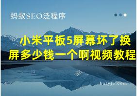 小米平板5屏幕坏了换屏多少钱一个啊视频教程