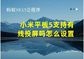 小米平板5支持有线投屏吗怎么设置