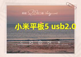 小米平板5 usb2.0