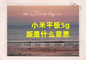 小米平板5g版是什么意思