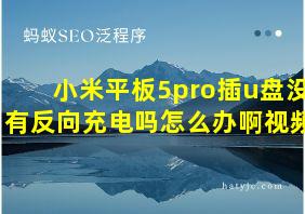 小米平板5pro插u盘没有反向充电吗怎么办啊视频