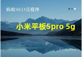 小米平板5pro 5g