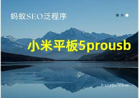 小米平板5prousb