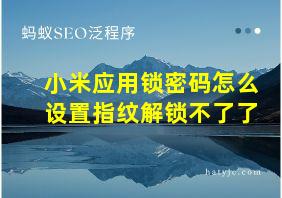 小米应用锁密码怎么设置指纹解锁不了了