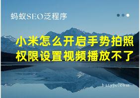 小米怎么开启手势拍照权限设置视频播放不了