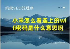 小米怎么看连上的wifi密码是什么意思啊