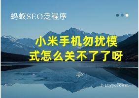 小米手机勿扰模式怎么关不了了呀